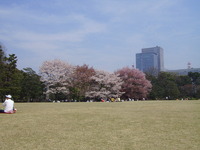 Une pelouse du parc du palais impérial